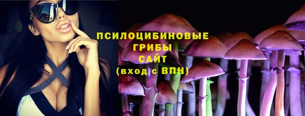 мяу мяу мука Абаза