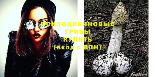 гашик Абинск