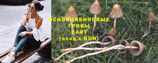 мяу мяу мука Абаза