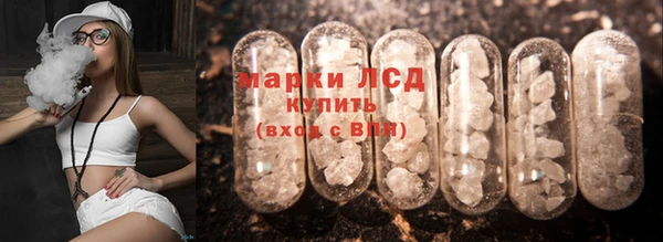 мяу мяу мука Абаза